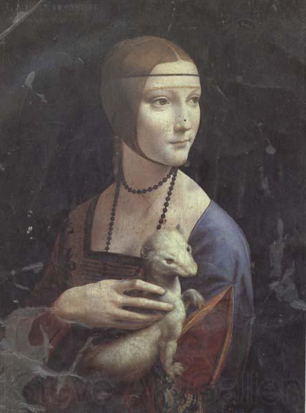 LEONARDO da Vinci Cecila Gallerani (mk45) Norge oil painting art